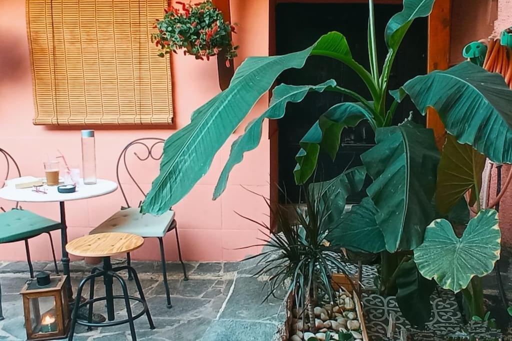 נאפפליו Su Casa Cottage מראה חיצוני תמונה